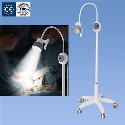 Lamp Arholiad Gooseneck